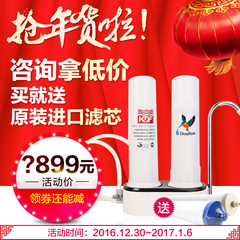 fairey道尔顿净水器家用直饮厨房高端自来水龙头台上过滤器FCP201