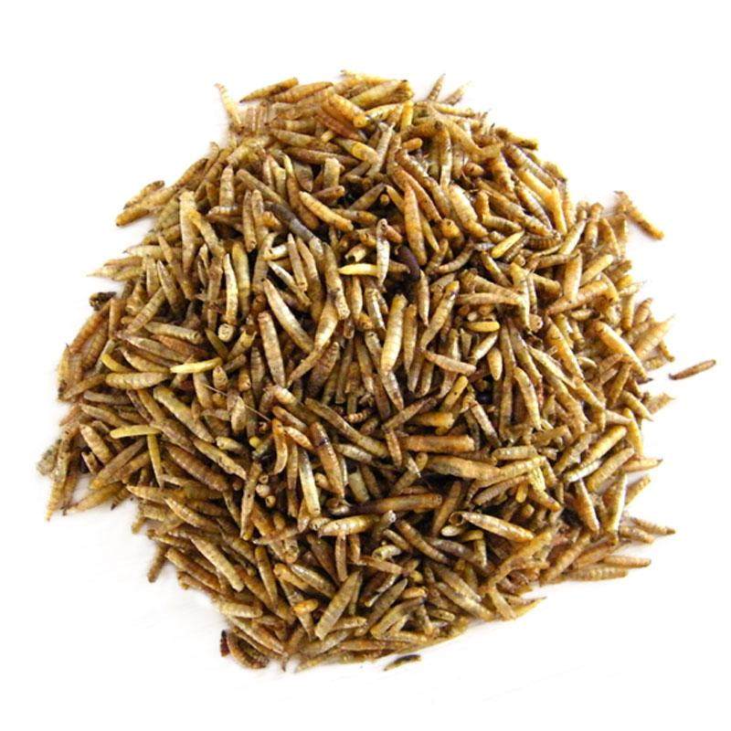 水仙子 五谷虫 蛆,谷虫 500g克30元包邮 中药材初级农产品