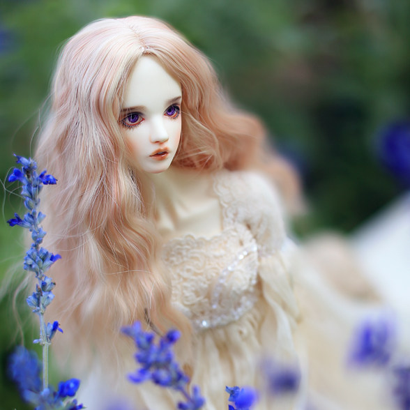 serenadedoll〗sds系列 nova 1/3特体 bjd娃娃