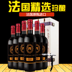 誉佳顺红酒 法国原瓶原装进口红酒整箱6支装 凯旋门干红葡萄酒