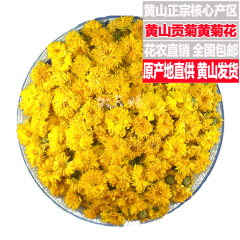 天天特价花草茶黄菊花2016新菊花茶叶安徽特产黄山贡菊500克包邮