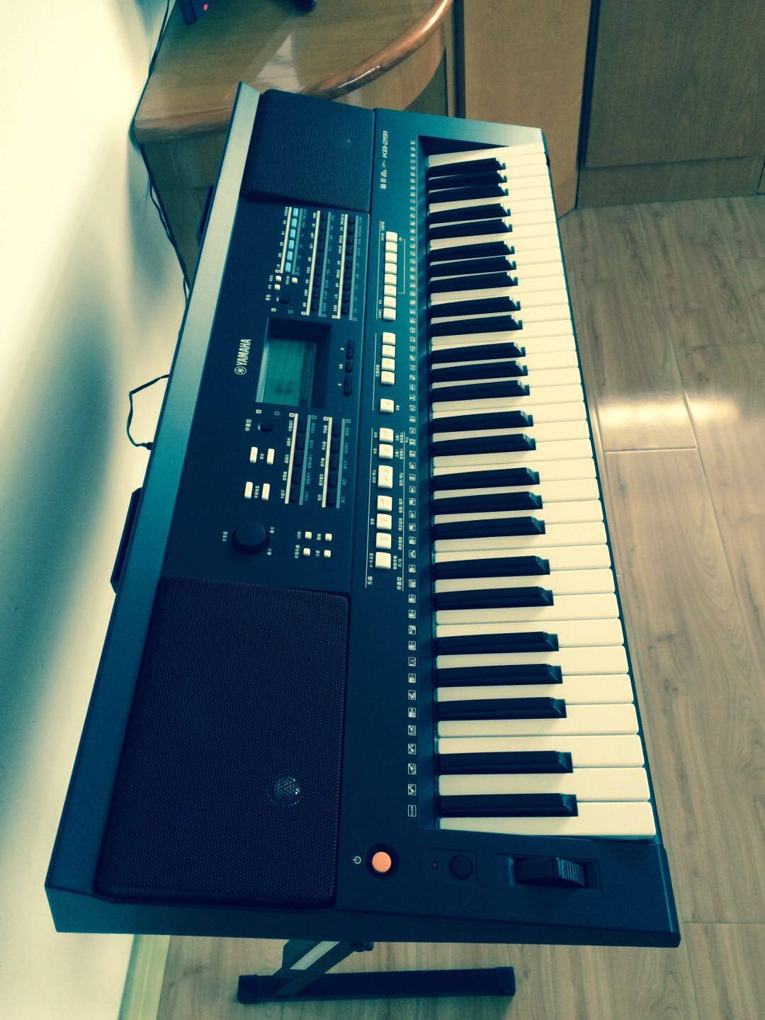 echo/爱尔科电子琴使用好吗?爱尔科 电子琴评价怎么样?