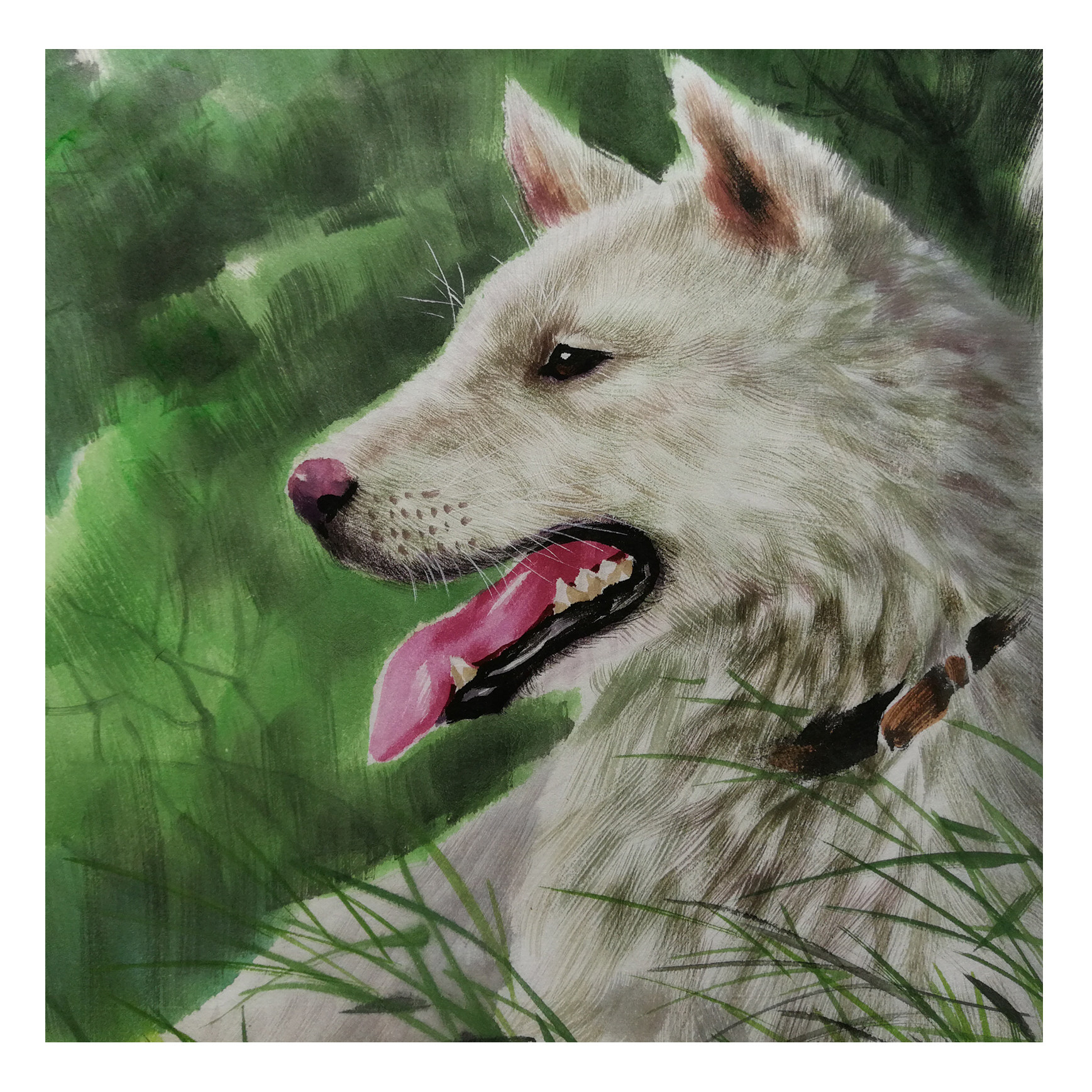 (朝鲜)大促 金成男《丰山狗》平壤美术大学 水墨 星朝画廊