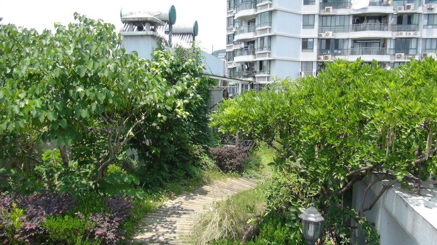 坐落于杭州市上城区金棕榈花园30幢1单元901室