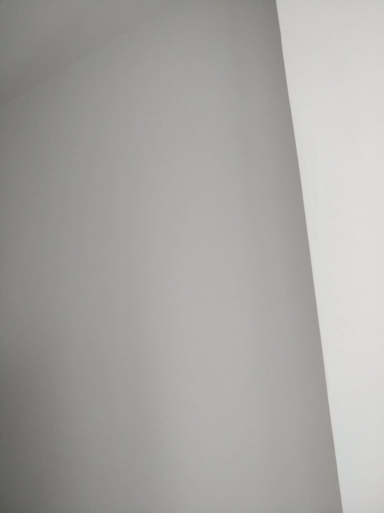 nipponpaint立邦墙漆牌子如何立邦漆金装净味五合一乳胶漆内墙面漆水