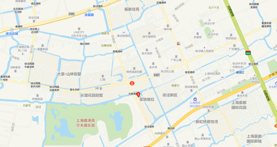 【第一次拍卖】上海市青浦区徐泾镇徐盈路158弄60号花园住宅