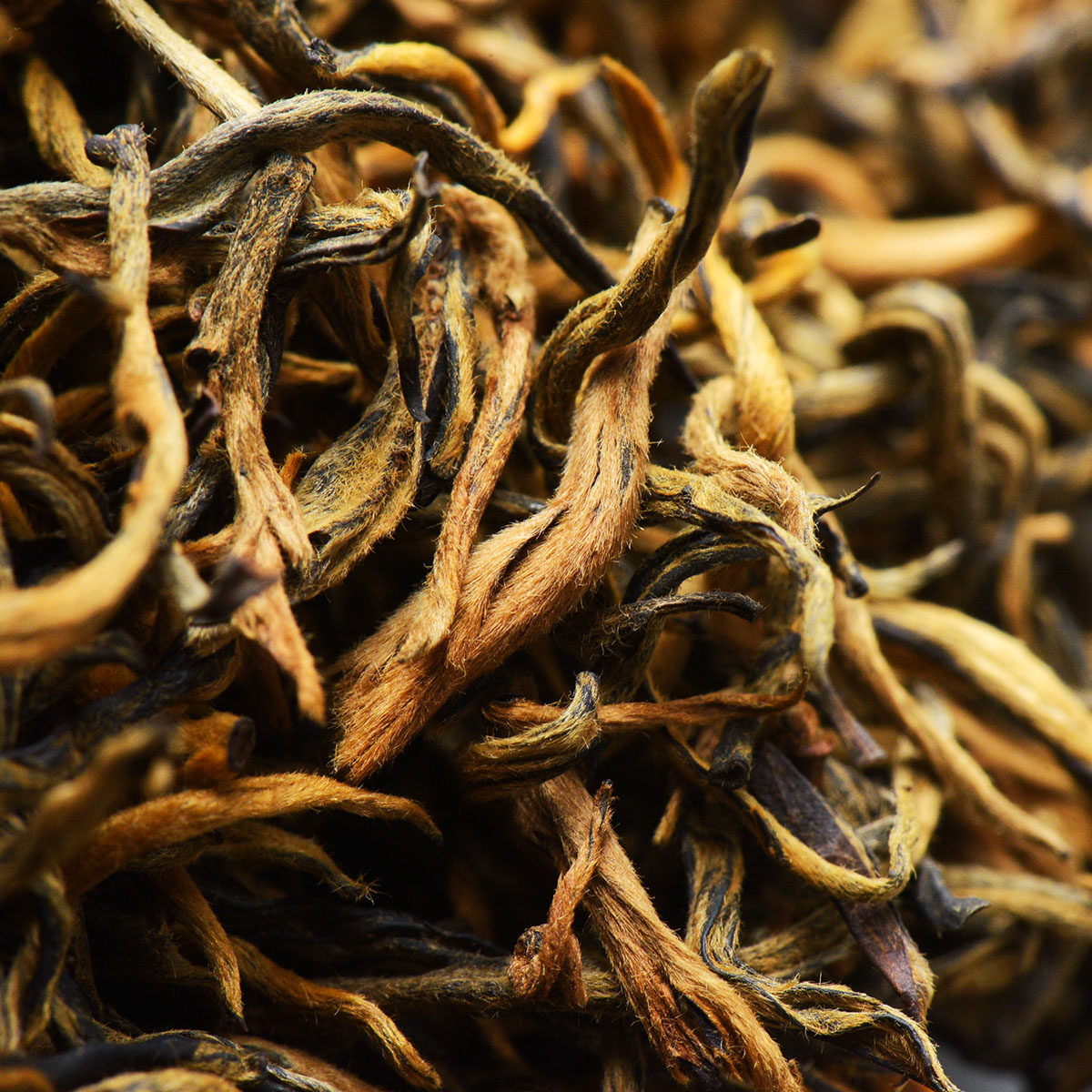 1斤拍【六】 小金丝凤庆滇红茶 云南2018春茶