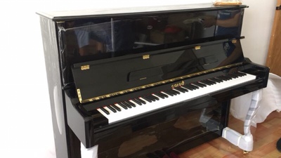 钢琴老师讲解下珠江艾茉森vp-119S怎么样？是个靠谱的品牌？