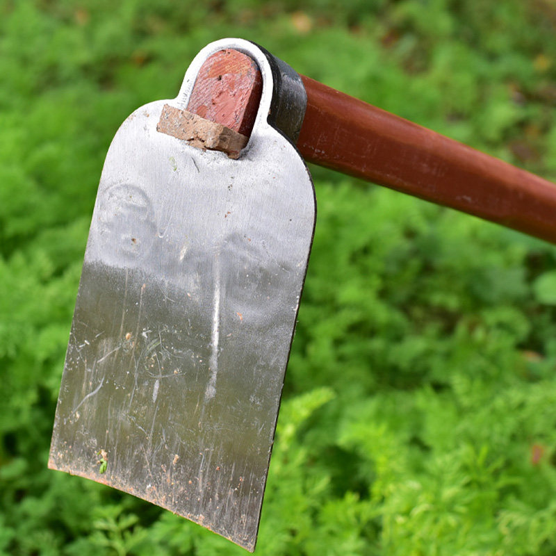 农用条锄头刨地镢头老式除草锰钢家用除草种菜农具加长柄重庆工具