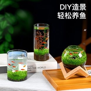 极速水培微景观绿植套装创意迷你植物玻璃鱼缸小型家用造景生态水
