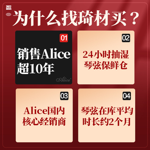 Alice爱丽丝 电吉他琴弦 AE536 AE537一套P6根装初学防锈弦线正品