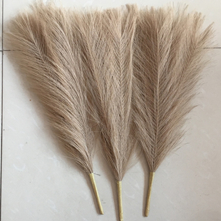 推荐45cm Pampas Grass Simulation  Reed Grass Wedding Decorat