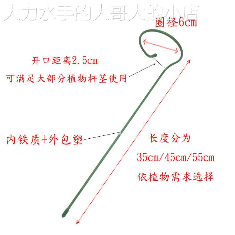 新品植物支撑绣球蝴蝶兰支撑花架子固定架月季爬藤防倒伏铁艺支撑