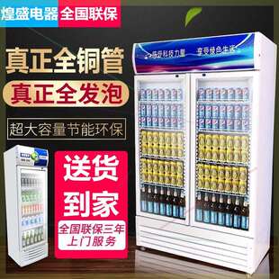 1商用展示柜啤酒柜冷柜超市冰柜单门立式冰箱饮料柜双门冷藏保鲜