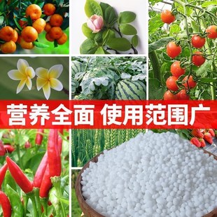 氮磷钾三元复合肥花肥盆栽种菜农用肥料蔬菜果树专用颗粒缓释化肥