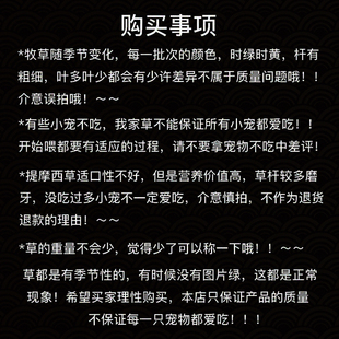 速发2023提摩西草干草兔粮龙猫草荷兰猪兔兔干草豚鼠牧草晒干北提