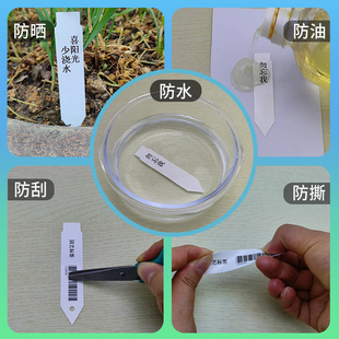 园艺标签插牌植物花卉苗木挂牌多肉盆栽花盆标记户外防水树木标识