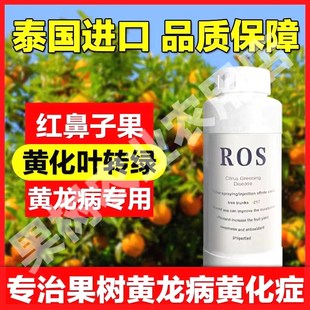 现货速发黄龙病果树专用药黄龙病ROS-217黄龙病黄化全水溶不堵柑