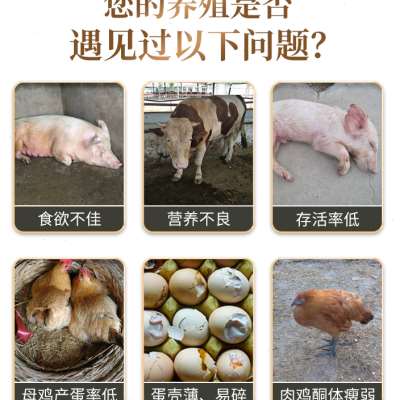 兽用小苏打粉牛羊猪吃的畜牧养殖饲料添加剂碳酸氢钠鸡鸭禽50斤10