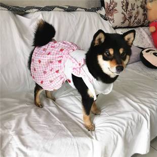 纯棉宠物连衣裙子猫咪狗狗中小型犬柯基法斗泰迪柴犬X衣服夏季薄