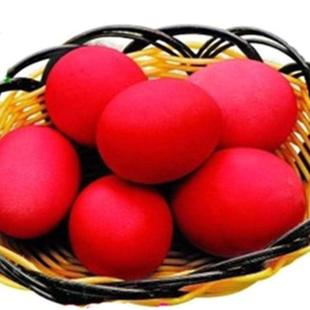 急速发货染红鸡蛋食用染料色素粉果绿报喜原料正红颜色单色红蛋着