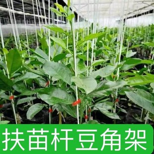 支架支撑杆支柱植物花架黄瓜豆角丝瓜南瓜家用豇豆爬藤架种植箱