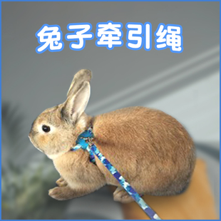 极速小兔子牵引绳防挣脱溜兔绳子外出荷兰猪侏儒兔幼兔兔子用品