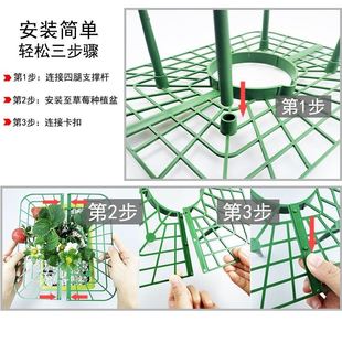 现货速发草莓支架阳台盆栽种植水果绿植托盘支架防腐烂园艺固定拼