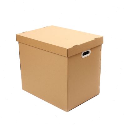 朗通纸箱 搬硬加厚大号塑料扣纳特家纸箱 收手整理财务票据物证箱