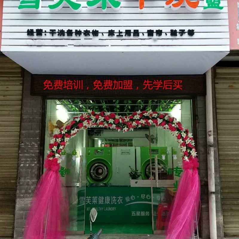 直销新品湖南省雪芙莱干洗店设备洗衣店全套全自动干X洗机设备干