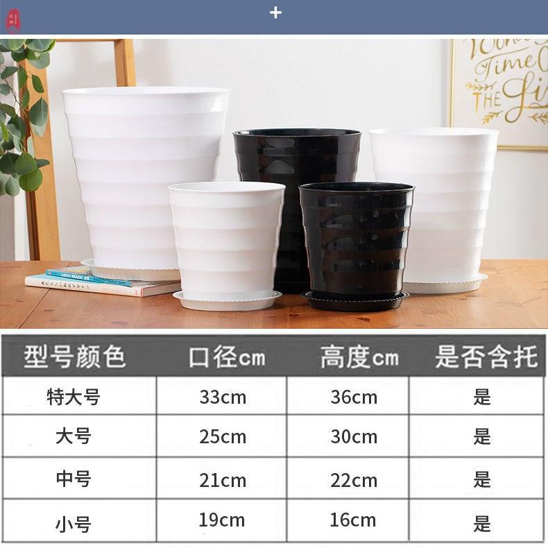 速发花瓶非陶瓷种花盆丨大特大号清仓陶瓷D30cm幸福树客厅虎皮兰