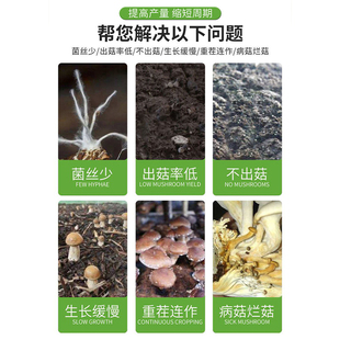 急速发货蘑菇种植包催菇王菌菇营养液增产剂食用菌灵芝平菇防病生