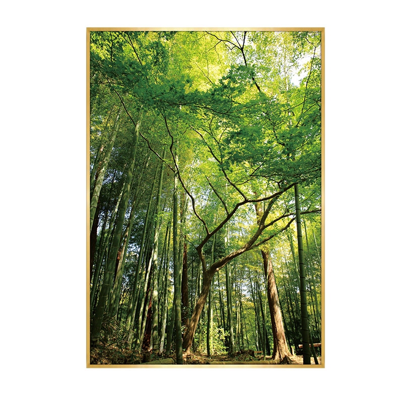新品绿色参天大树装饰画竹子森林风景挂画长NO方形竖版壁画家庭玄