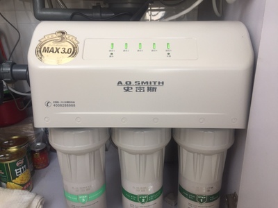 Re:请问真的使用AO史密斯R500MTD2 厨房过滤家用净水器怎么样呢??史密斯质量好不 ..