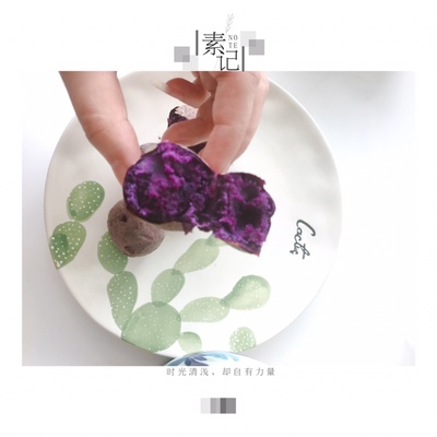 Re:大家真的使用松下DS1200和DS1100哪个好??评测对比松下DS1200和DS1100区别是什 ..