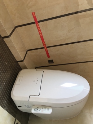 真实使用感受美标马桶质量怎么样，这个牌子是几线品牌的？好用吗？