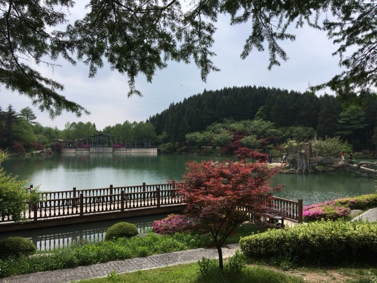 宁波仰天湖山庄