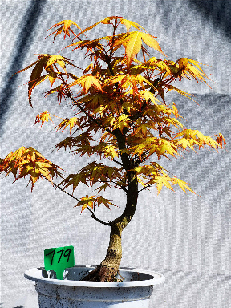 奉化华程家庭农场的优惠券大全