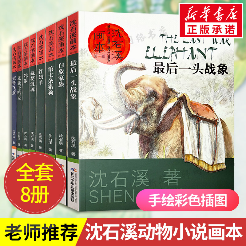 沈石溪动物小说全集全套8册画本全系