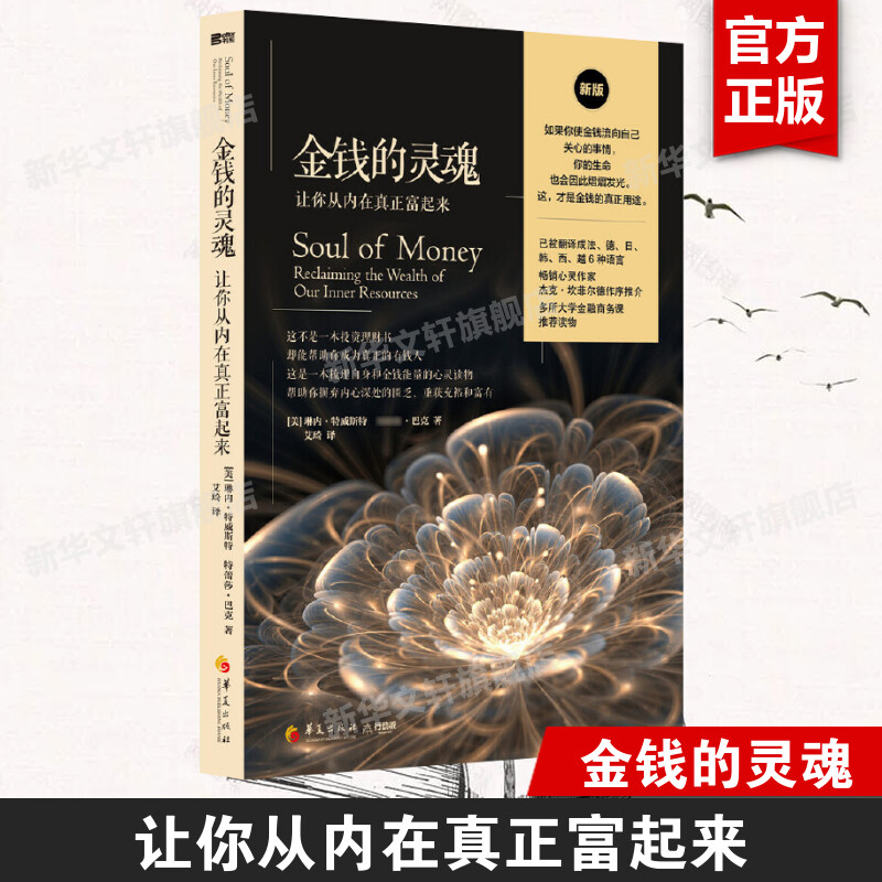 金钱的灵魂 让你从内在真正富起来 心灵读物经济学理财技巧书籍 金钱的价值生活的意义金钱走向灵魂的旅程 经济通俗读物 正版书籍