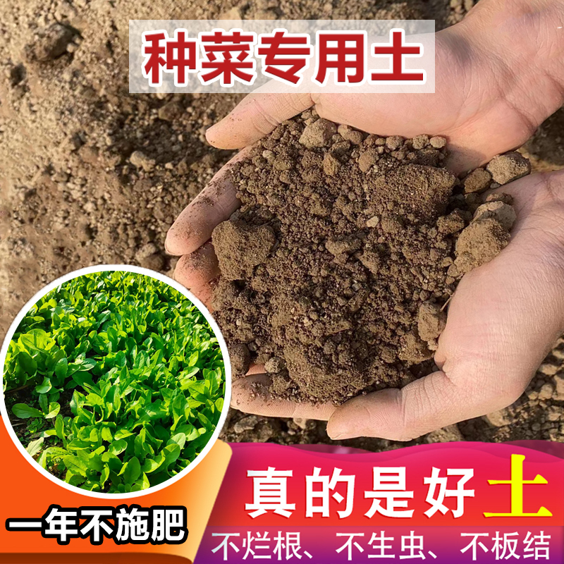 优质田园土泥土种菜土阳台种植土花土