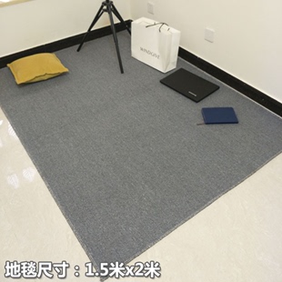 卧室地毯满铺定制灰色家用防滑房间大面积床边办公室客厅整铺地垫