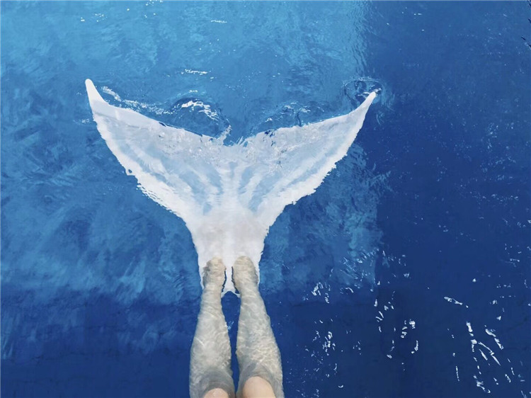 美人鱼脚蹼人鱼脚蹼自由潜单蹼美人鱼尾巴自由潜脚蹼潜水鱼鳍白色在类目 运动/瑜伽/健身/球迷用品, 游泳, 游泳装备, 脚蹼中 - 来自Buy2taobao.com提供专业的淘宝代购服务