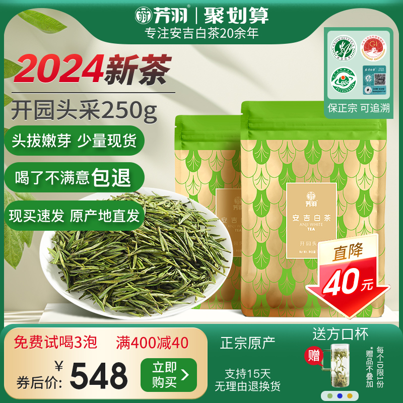 2024年新茶上市芳羽安吉白茶开园