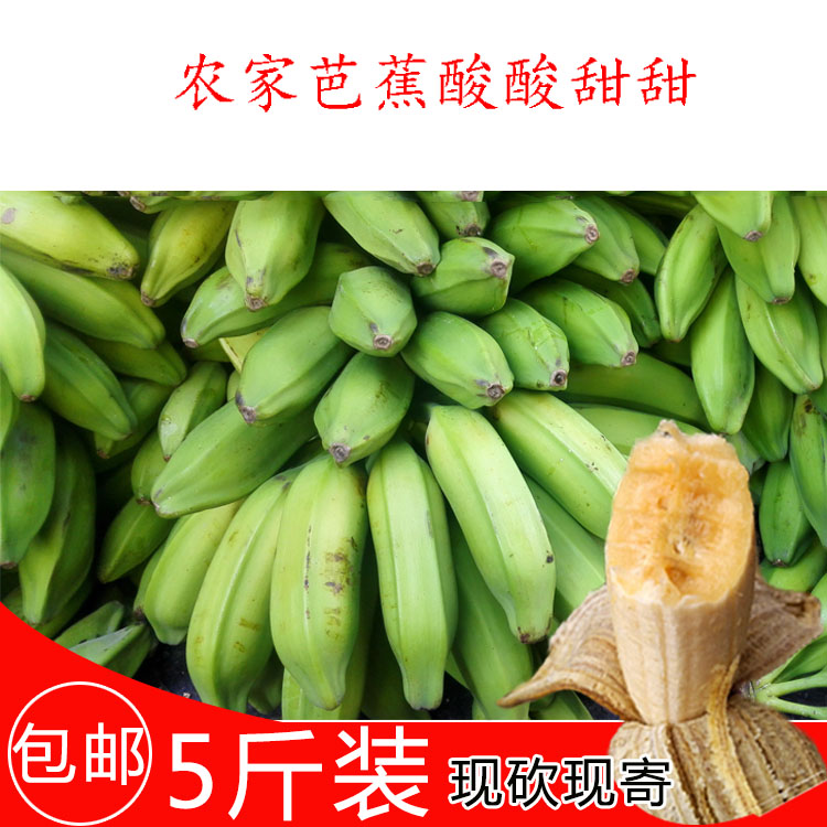 广东芭蕉大蕉大芭蕉plantain新鲜水果无催熟剂产地直发5斤超甜蕉