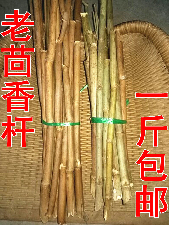新货老茴香杆,小茴香枝干品 温肾和中行气一斤包邮