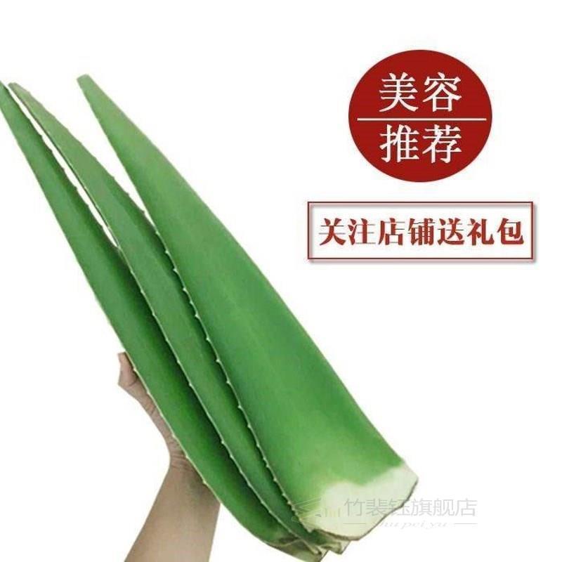 aloe vera leaves edible beauty aloe fresh leaf irri