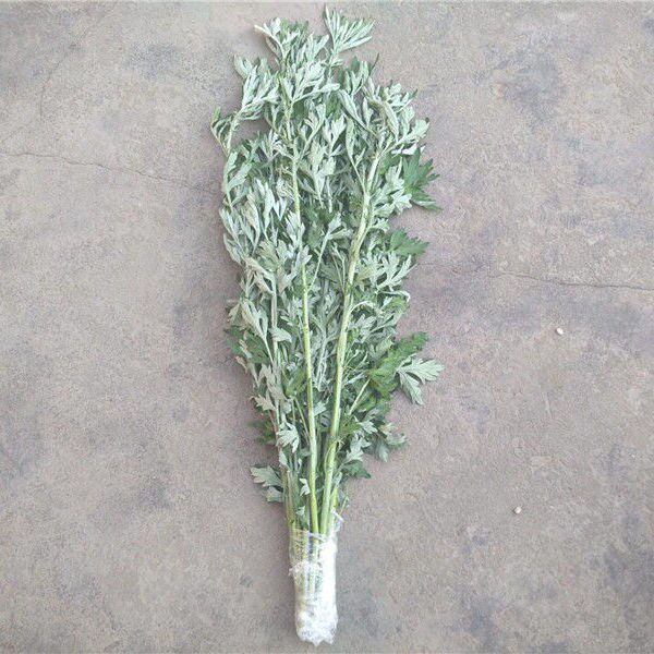 小叶艾草新鲜野生艾叶艾蒿整棵端午挂门驱蚊虫青团带杆叶泡澡脚