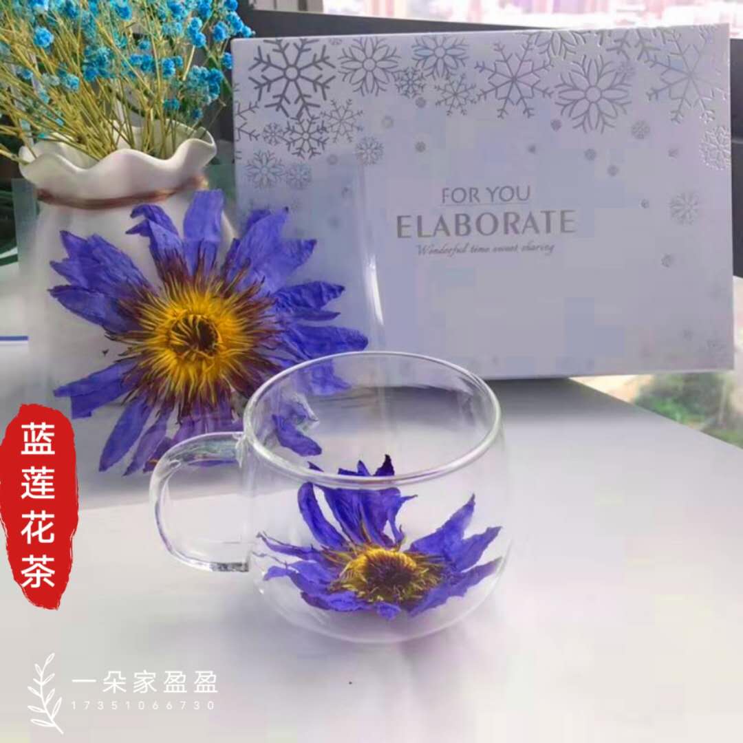 新鲜蓝莲花茶 蓝莲花干花 睡莲花茶 睡莲干花泡茶埃及睡莲50g包邮