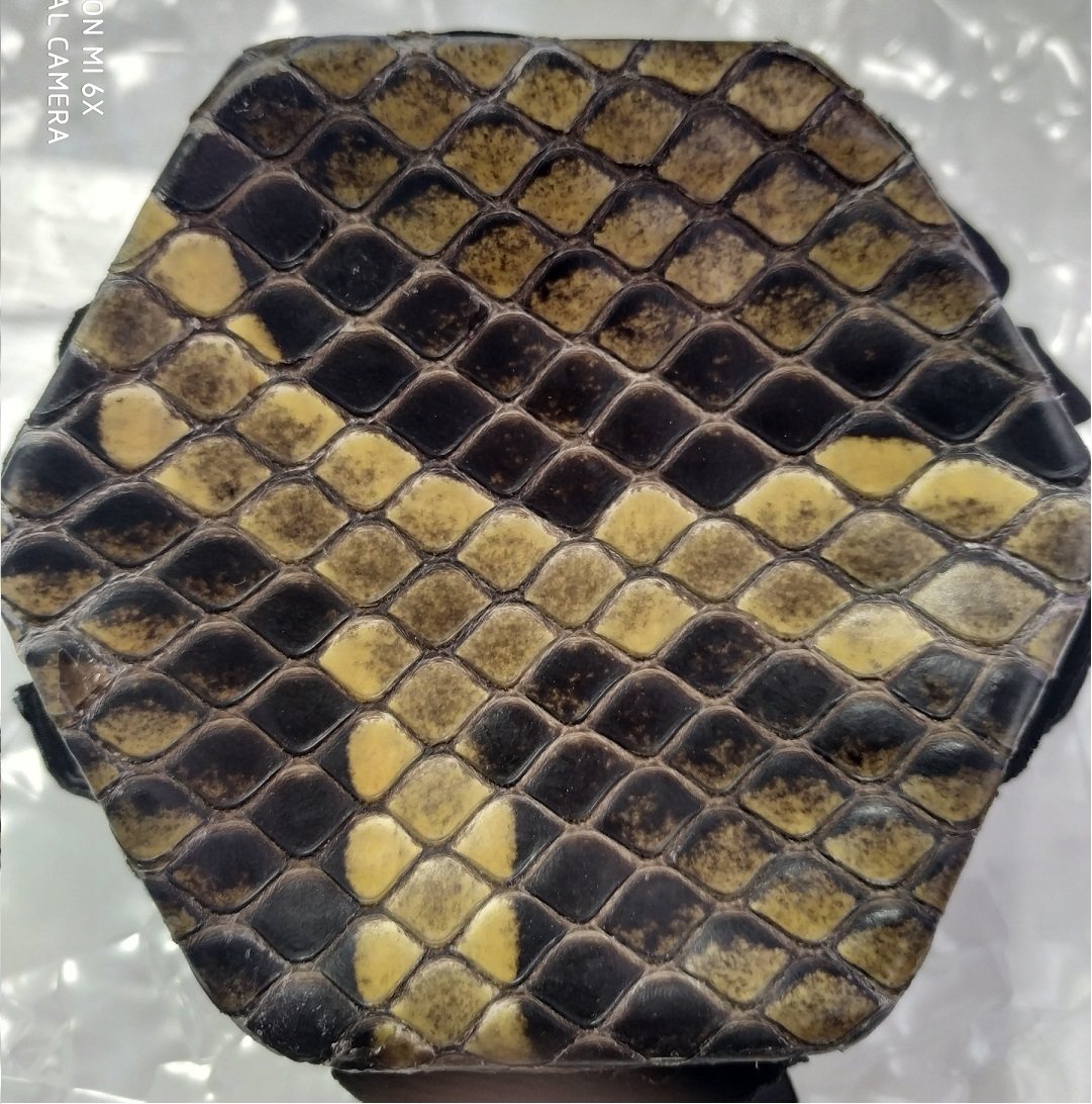 二胡手工蒙皮 维修换皮 看图选皮 中胡 高胡 三弦等修理二胡蟒皮